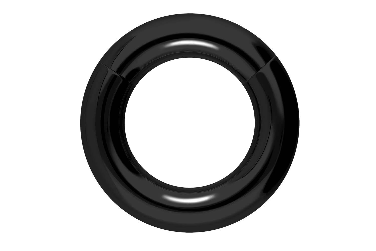 Chirurgenstahl Segmentring Clicker Piercing